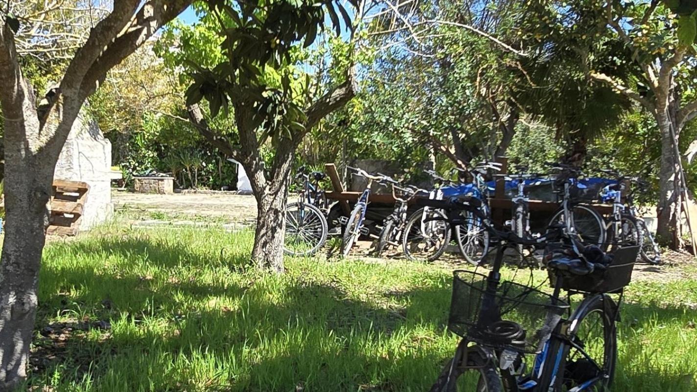 Alghero In Bicicletta Eksteriør billede